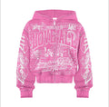 PINK “Lost Art” Hoodie 🩷